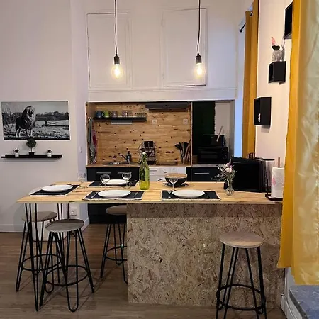 Charmant appartement climatisé aux pieds de la cité Carcassonne Esterno foto