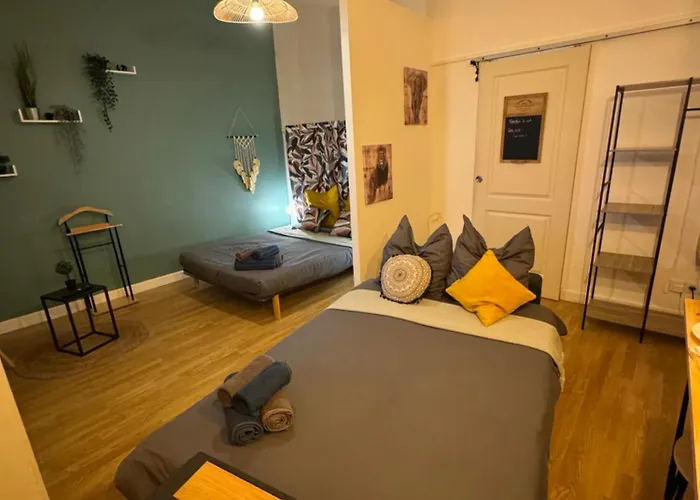 Charmant Appartement Climatise Aux Pieds De La Cite