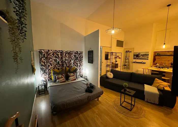 Charmant Appartement Climatise Aux Pieds De La Cite