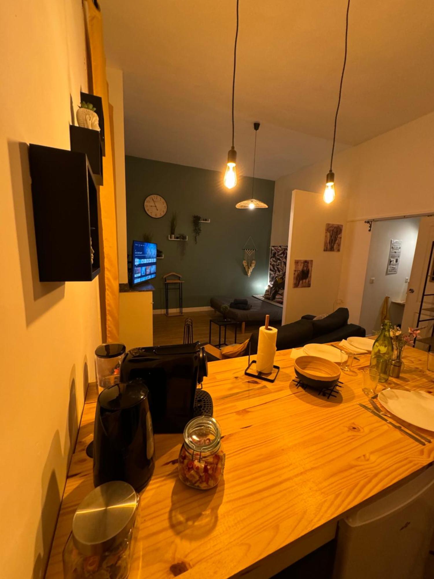 Apartment Climatise Aux Pieds De La Cite Carcassonne